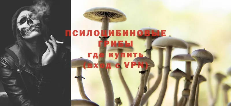 продажа наркотиков  Уржум  Псилоцибиновые грибы Cubensis 